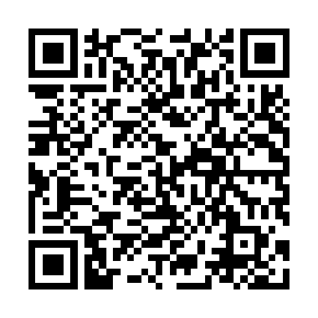 ios版 Online Catalog app下载