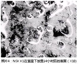 照片4:公海赌赌船jcjc710 K1在室温下放置24小时后的表面(X10)